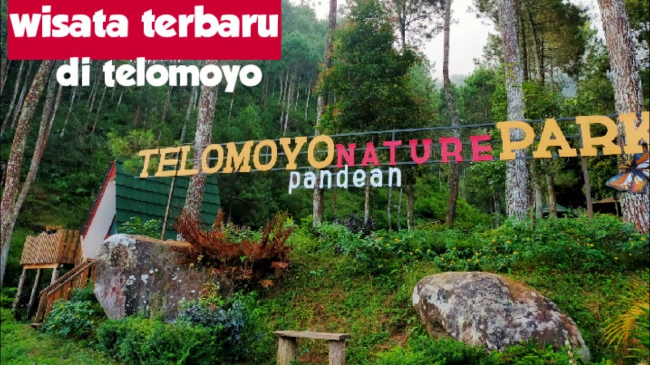 Telomoyo Nature Park: Surga Tersembunyi di Jawa Tengah